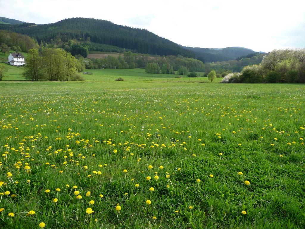 Landhaus Lenneper-Fuehrt Kirchhundem Exteriör bild